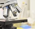 Le_microscope_en_entreprise_:_révéler_l_invisible_pour_l_innovation_scientifique