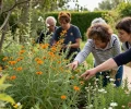 Séminaire nature en Provence : renouer avec le vivant en équipe