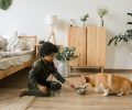 Un_guide_ultime_pour_une_éducation_canine_réussie